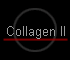 Collagen II