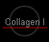 Collagen I